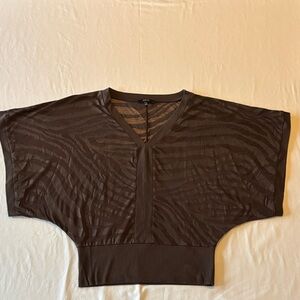 Express Brown Sheer Women's Top